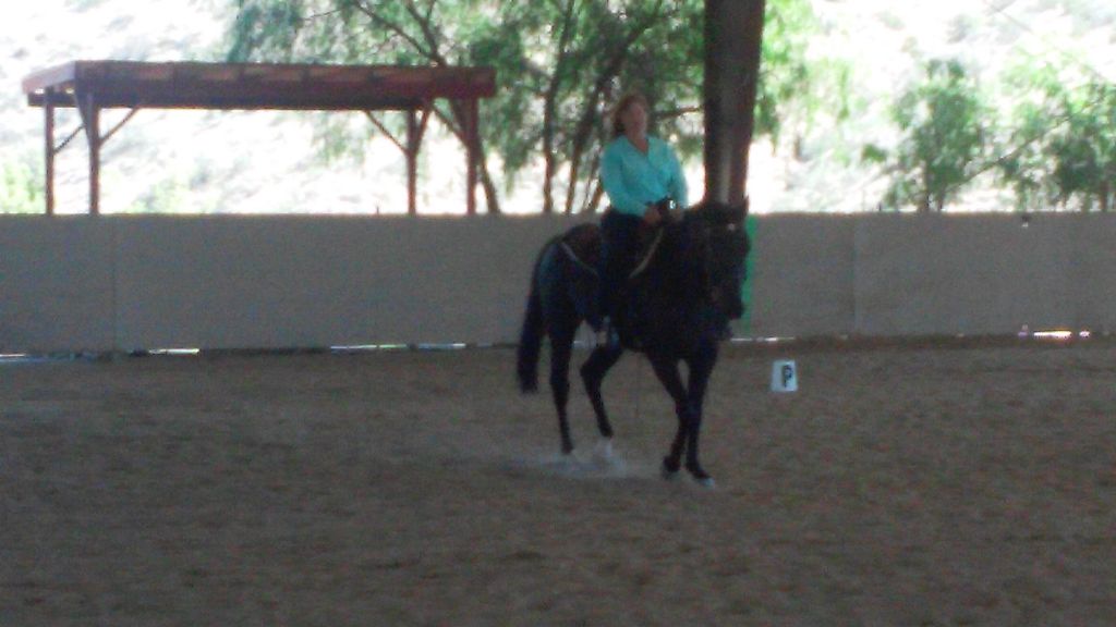 Client showing Western Dressage