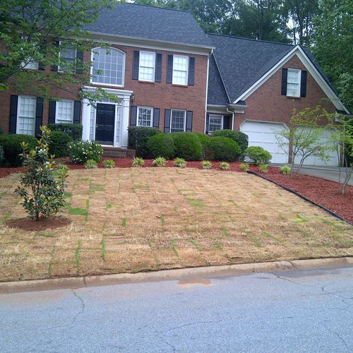 Landscape and Sod job completed in Lawrenceville G