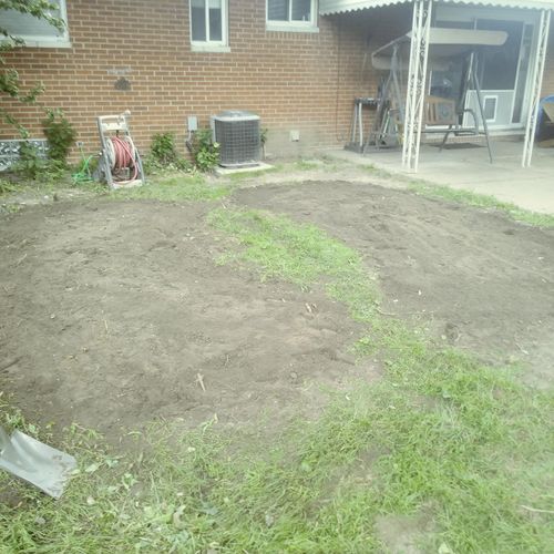 After destruction of flower beds, leveled and seed
