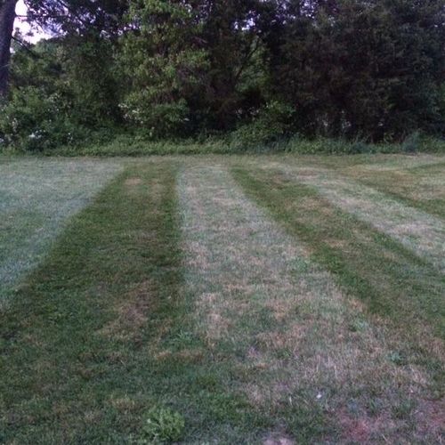 Some stripes in the grass