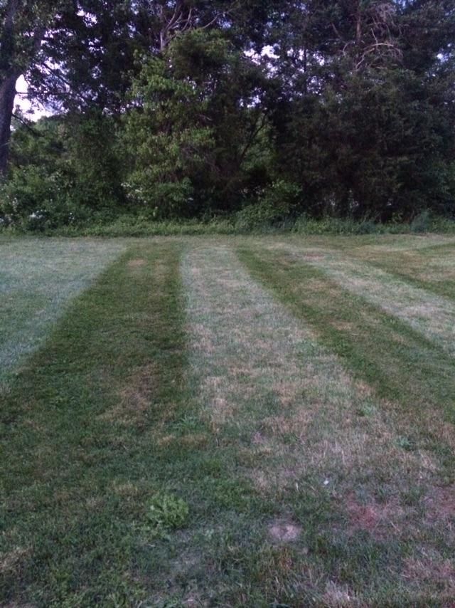 Some stripes in the grass
