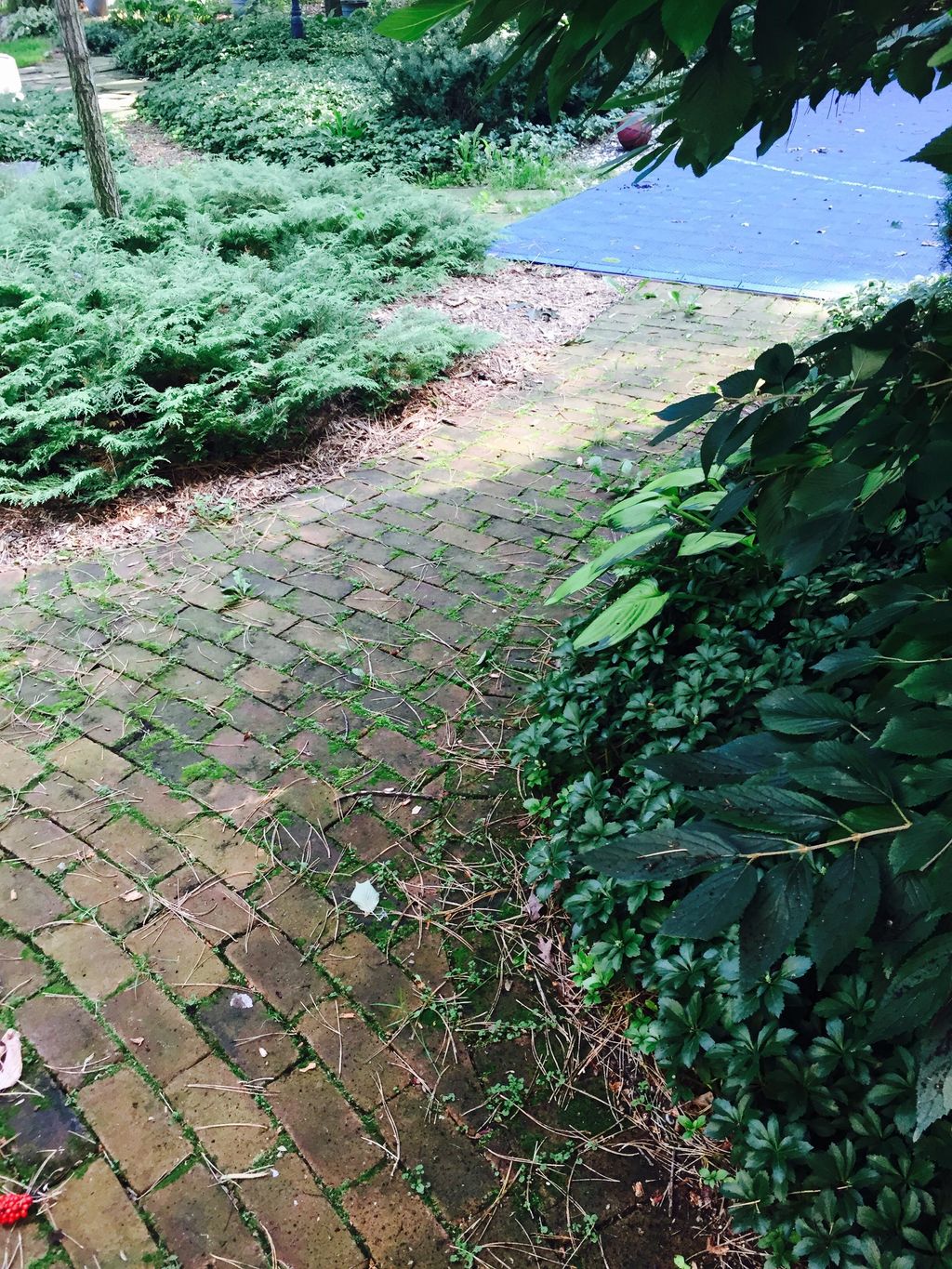 Sidewalks be sidewalks before cleaning.