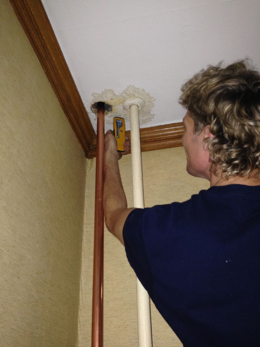 Using a Protimeter to measure moisture cotent in a