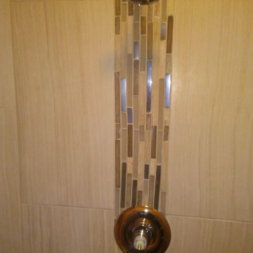 Tenisha Shower remodel