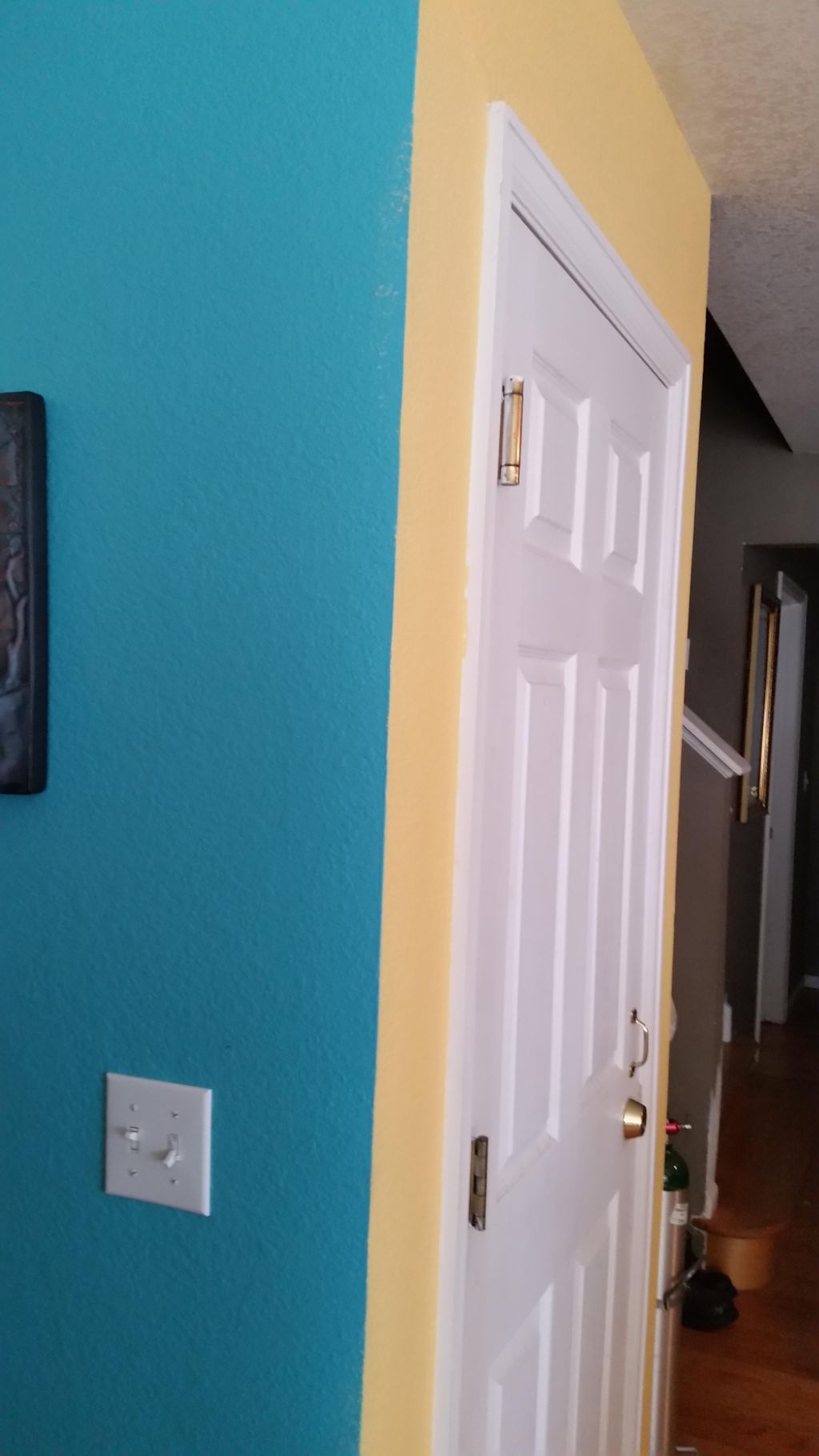 we did the trim too....turned out really nice.