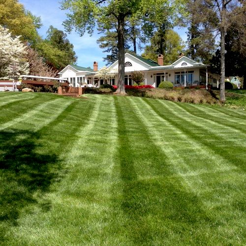 Residential Lawn Maintenance
