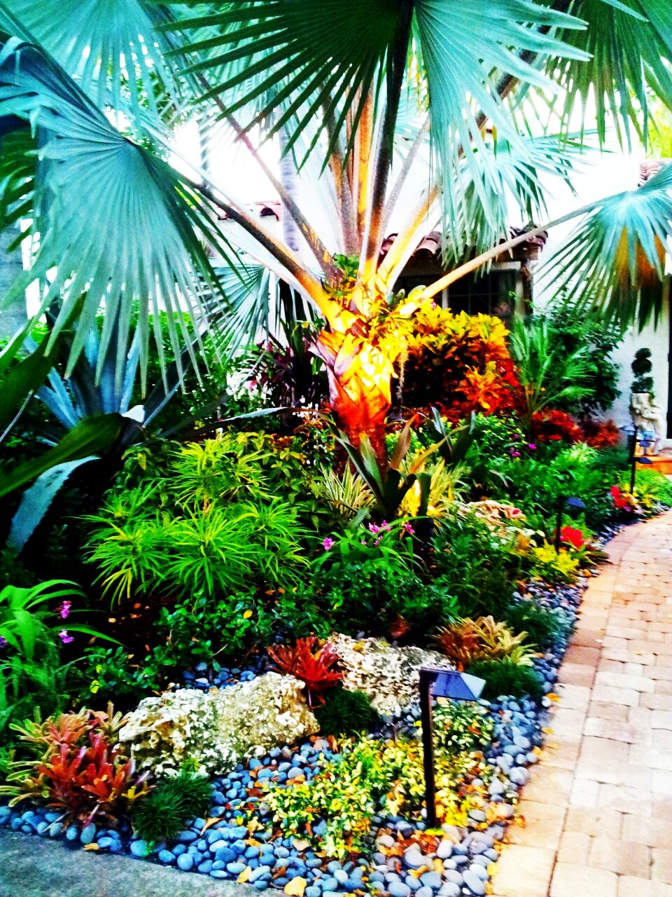 Tropical REDO-
This is a Historic Home in the El-C