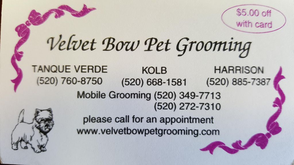 Velvet Bow Pet Grooming