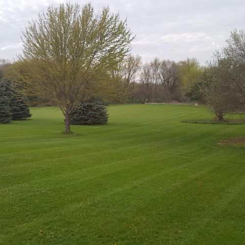 4 more acres of stripes!
