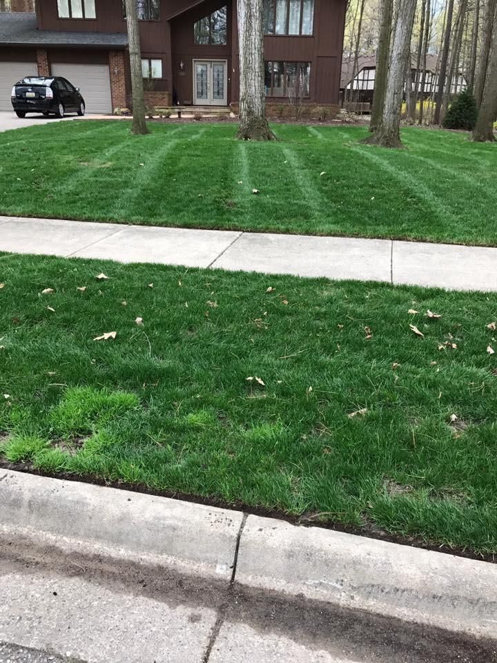 Early spring cut with fresh edging