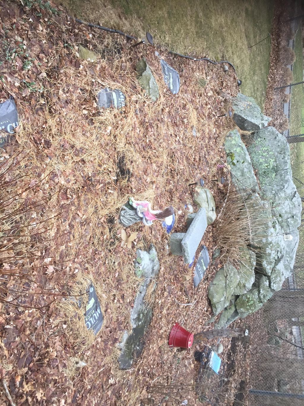 Before the spring clean up