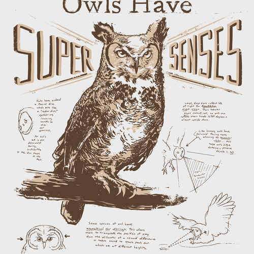 Owls Have Super Senses