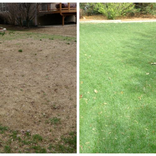 Notice large brown spots in your backyard? We take