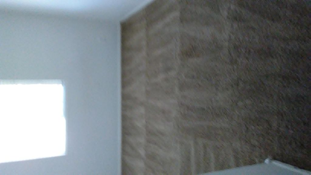 Carpet After is now clean, sanitized and deorderiz