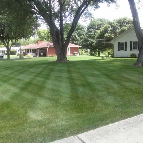 Residential Full Service Lawn care