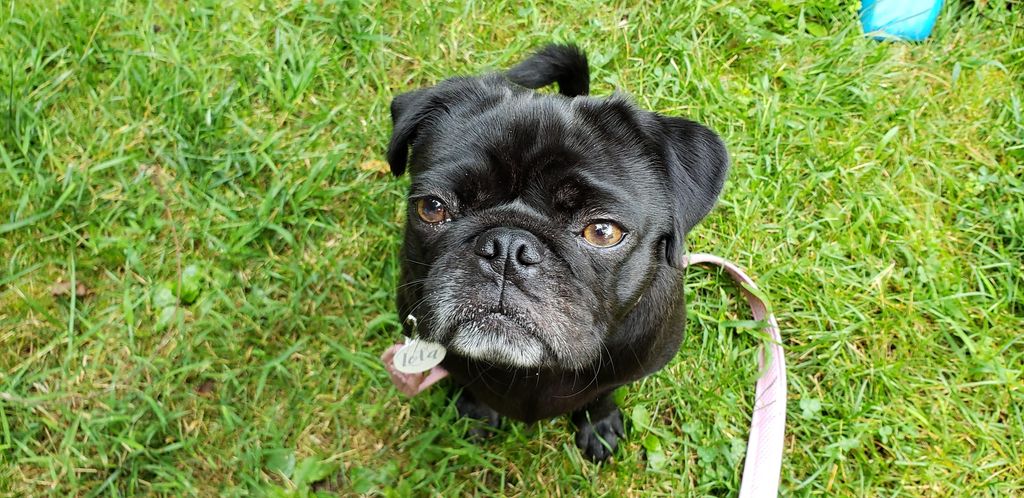 Beautiful Lola at the Park!