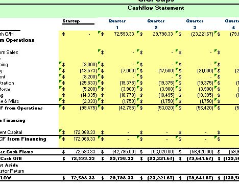 Financial Analysis - every good business plan need
