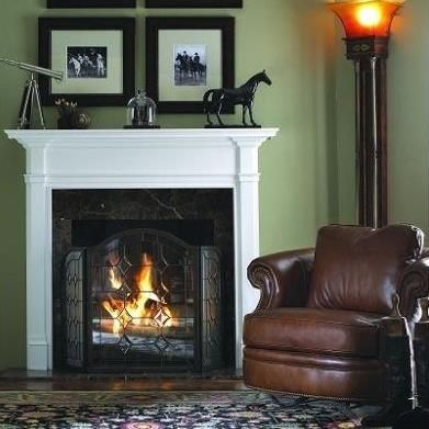 The Fireplace Service Experts Williamstown Nj