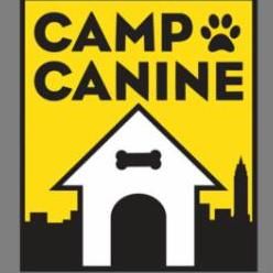Camp Canine