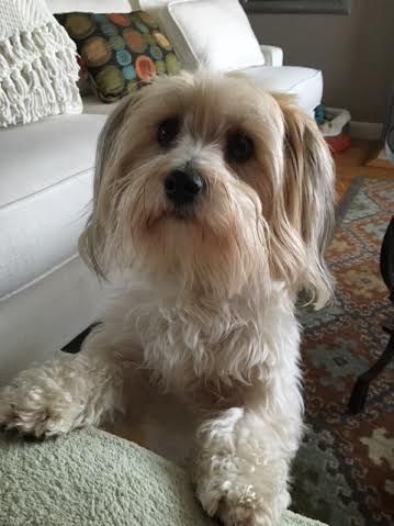 This is cute Breezy, sweet little girl with a big 