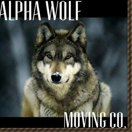 Alpha Wolf Moving