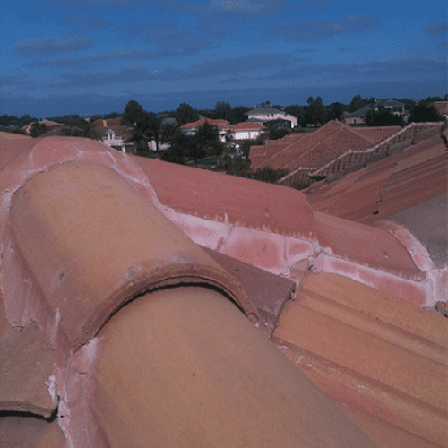 Tile & Slate Certified Roof Inspector