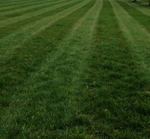 Mowing strips