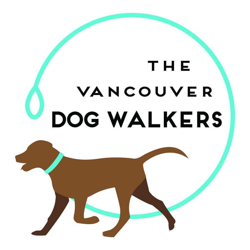 The Vancouver Dog Walkers