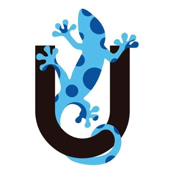 Blue Lizard Design