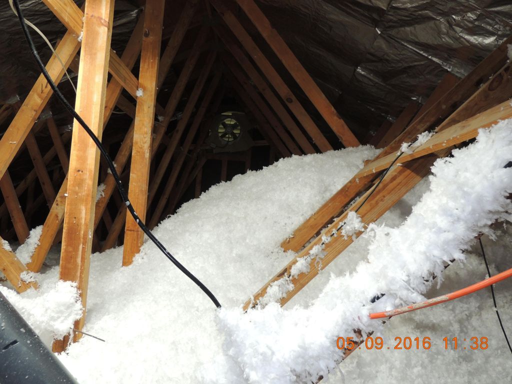 Filled and covered every inch of this attic to pro