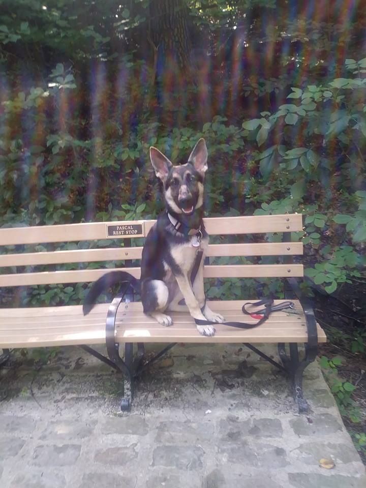 Photo Opp for Cyrus
