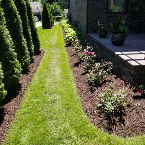 Cut a bed edge and mulched 