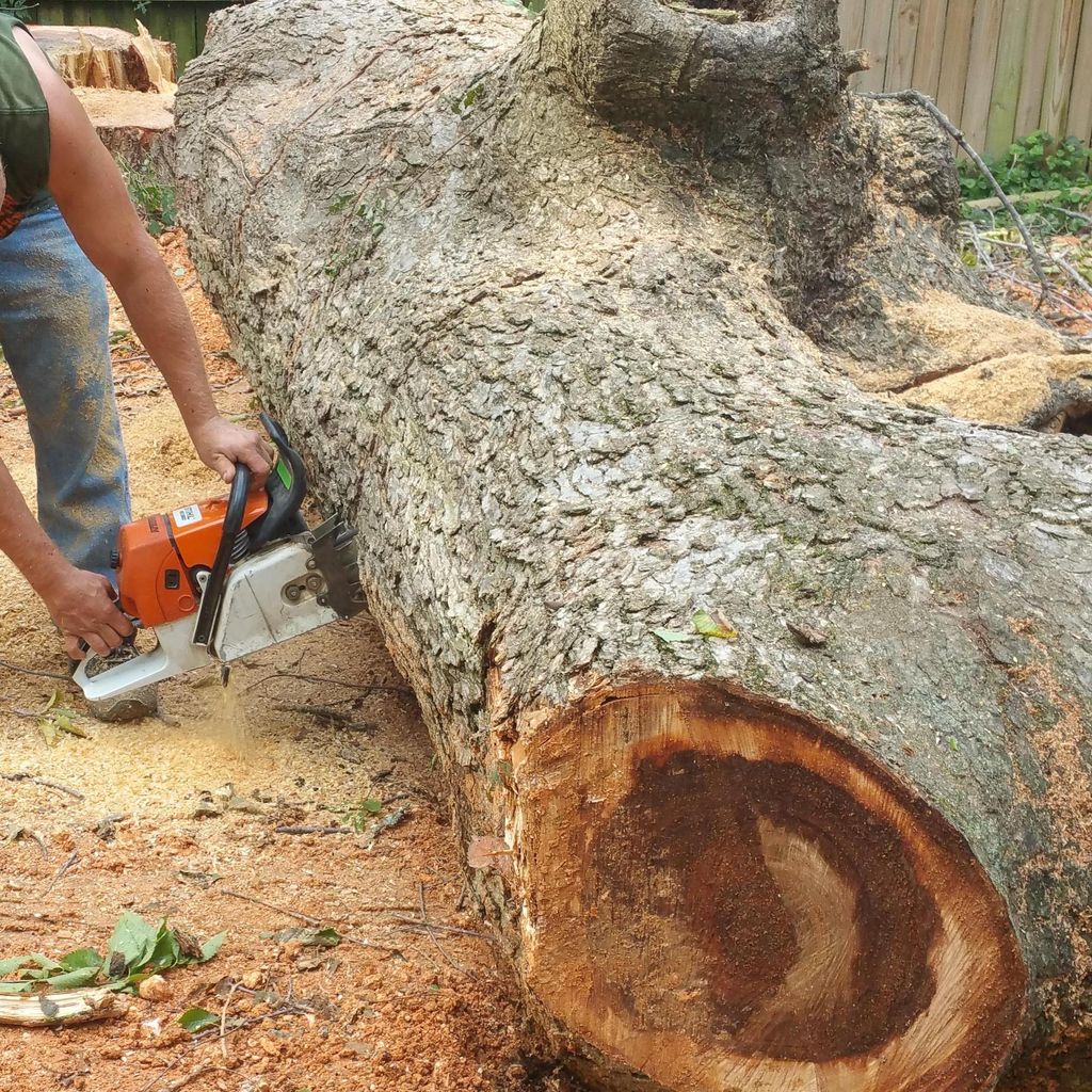 Pro Stump Removal and Tree Service