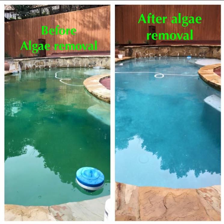 It took just a few visits to turn this pool around