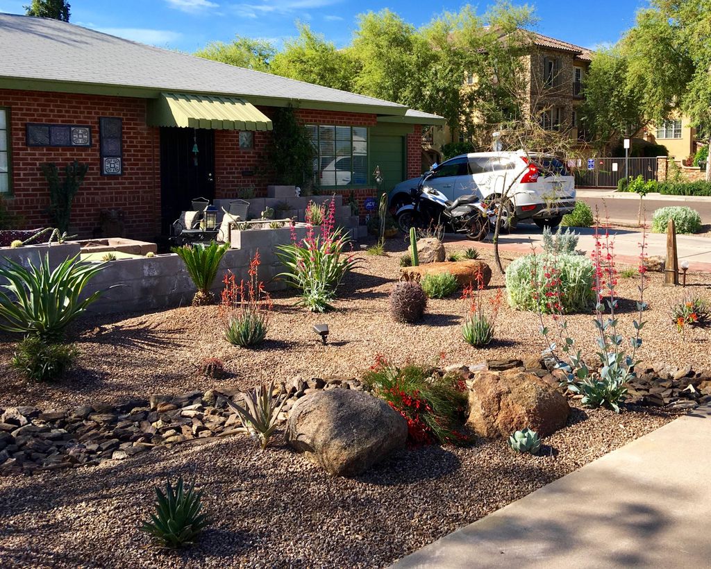 Full landscape installation