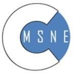 MSNE, Consulting