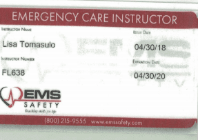 EMS Safety Services, Inc.