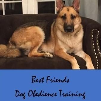 Best Friends Dog Obedience Training