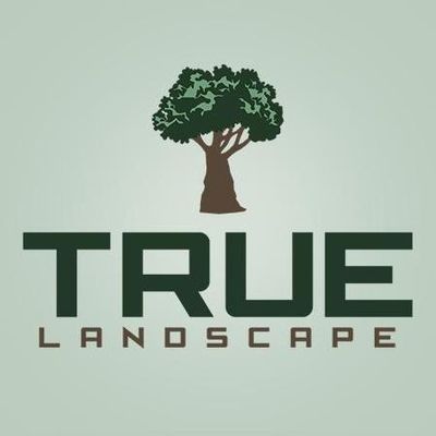 Avatar for True Landscape