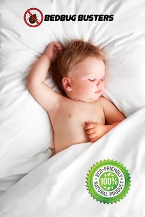 100% Safe & Effective Bed Bug Treatment