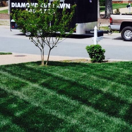 Diamond Cut Lawns