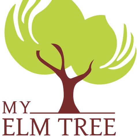 My Elm Tree