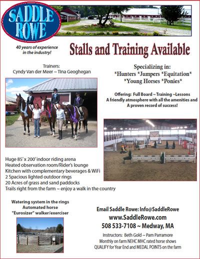 Promotional Flyers