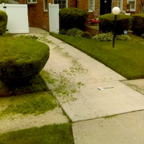HEDGES AND LAWN SERVICED BY MR.& MRS.SMITH