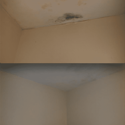 Before/After: Water/Mold Damaged Ceiling
