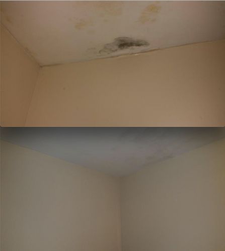 Before/After: Water/Mold Damaged Ceiling