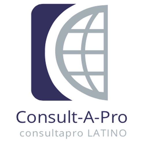 Consult-A-Pro LLC