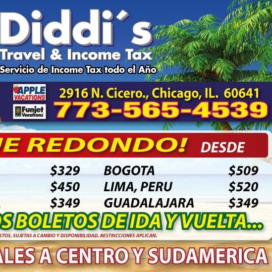 Diddis Travel and Income Tax