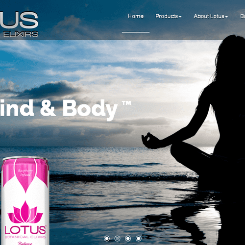 Lotus Elixirs - All natural elixirs that balance m
