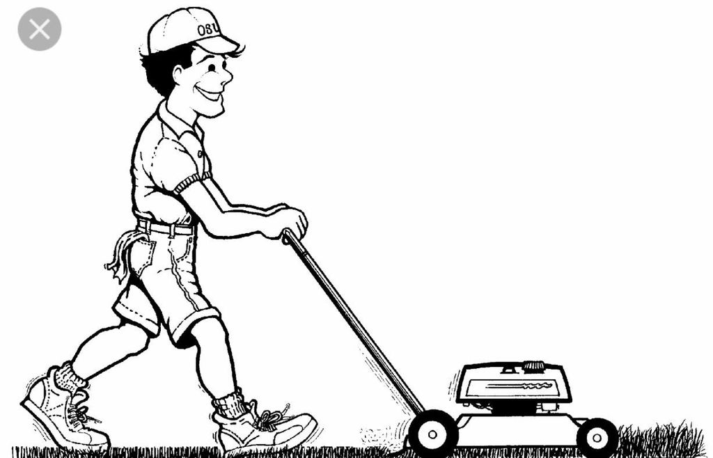House washing and lawn care